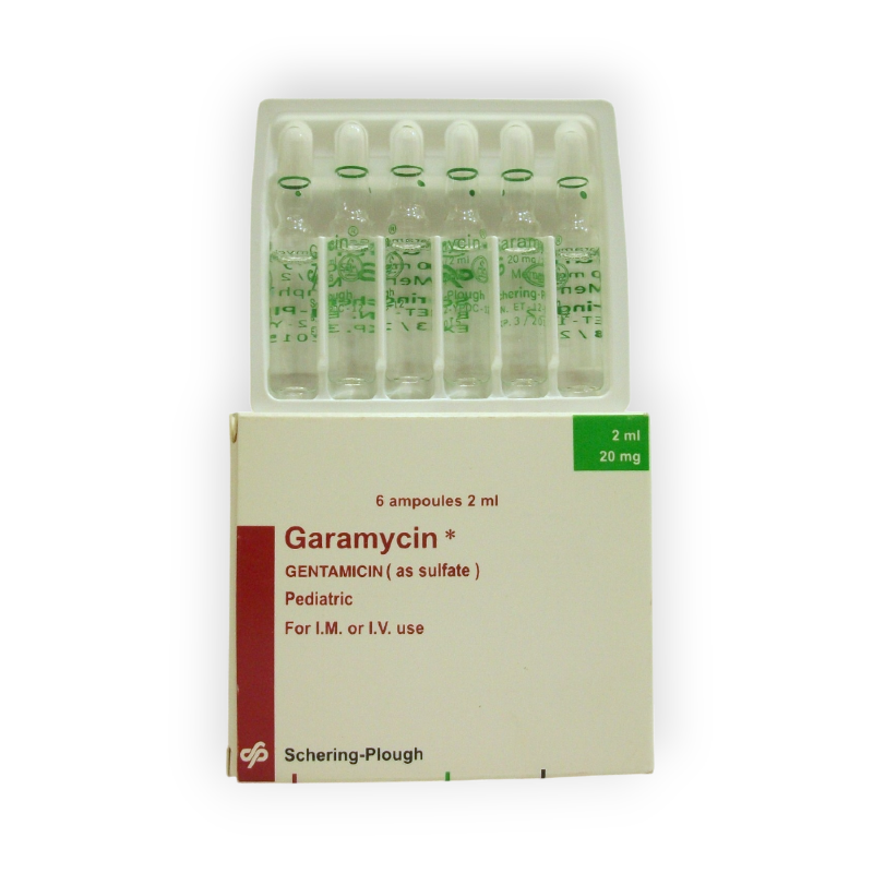 GARAMYCIN 20MG 6 AMPULES