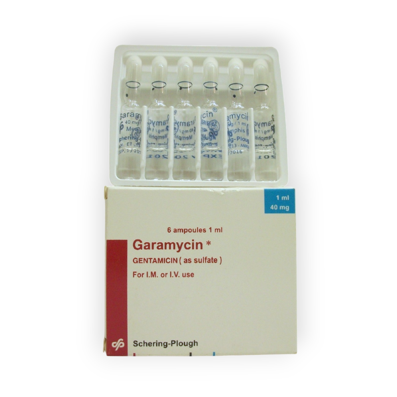 GARAMYCIN 40MG 6 AMPULES