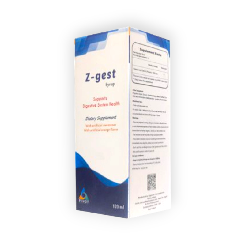 Z-GEST 120ML SYRUP
