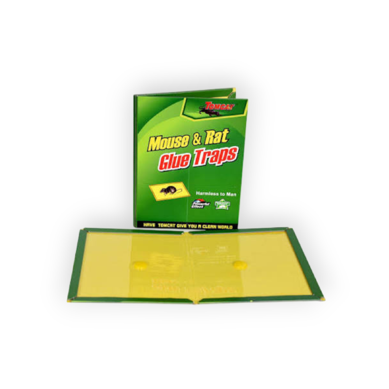 MOUSE RAT GLUE لزق فئران كبير كشكول