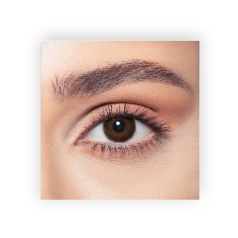 BELLA COLOR LENSES (CEDAR) ONE DAY