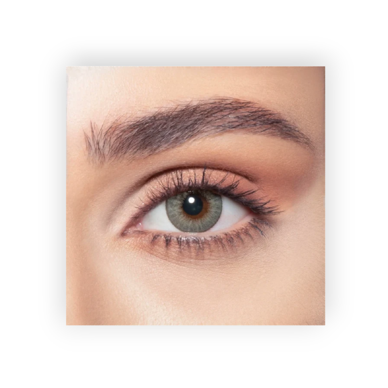 BELLA COLOR LENSES (PLATINUM GREY) ONE DAY