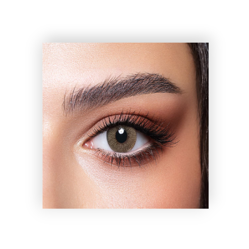 BELLA  ELITE COLOR LENSES (MATT OLIVE) MONTHY