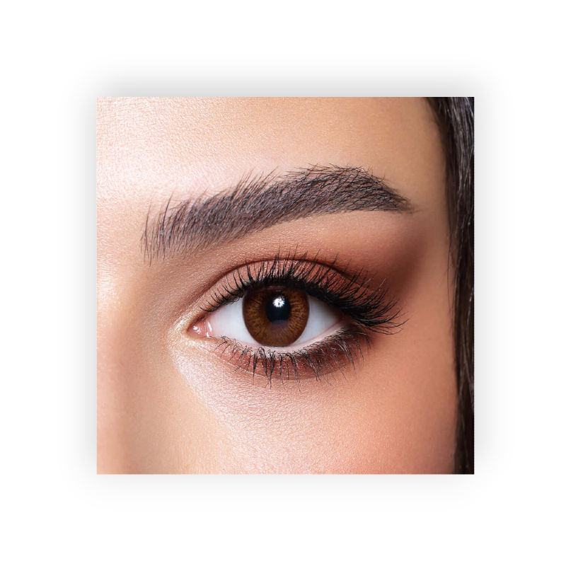 BELLA ELITE COLOR LENSES (CINNAMON BROWN) MONTHY