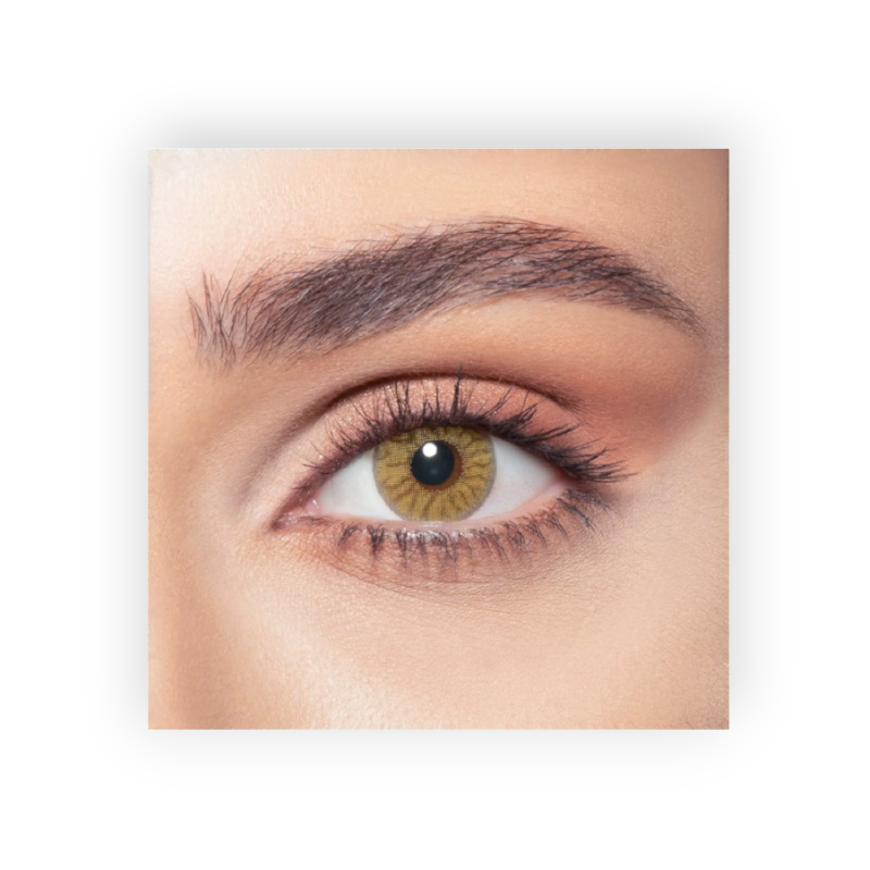 BELLA COLOR LENSES (RADIANT HAZELNUT) ONE DAY